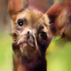 Illustration for article titled I Have Seen the Face of God